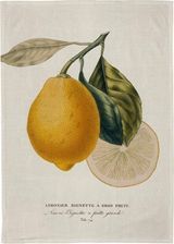 Zdjęcie Skona Ting Ręcznik Kuchenny Cytryna - Kraków