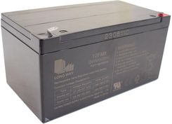 Zdjęcie AKUMULATOR DO POJAZDÓW NA AKUMULATOR AGM 24V 8AH LONGWAY 1648052968 - Zator