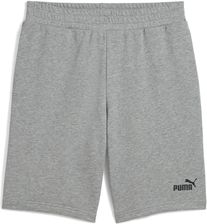 Zdjęcie Puma Męskie Szorty Essentials 10" Z Logo No. 1 Medium Gray Heather - Krotoszyn