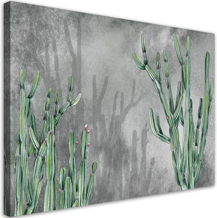 Feeby Fototapeta Na Płótnie Duży Kaktus Pustynny 60X40Cm (Can1Tykm1797260X40)