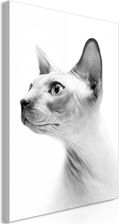 Artgeist Obraz na płótnie flizelinowym - Kot bezwłosy (1 część) Pionowy 60x90 cm Zwierzęta g-B-0111-b-a (A1-N8345-XL)