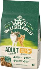 James Wellbeloved Adult 4Kg Sucha Karma Pełnoporcjowa Dla Dorosłych Kotów 1-7 Lat Bogata W Indyka- Od 99 Zł