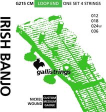 Galli G215 CM Irish Banjo 4-String Tenor Custom Medium