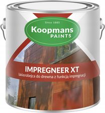 Zdjęcie Koopmans 101 Lakierobejca Impregneer Xt sosna 5L 1777002480 - Warta