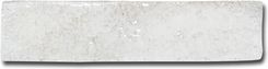 Harmony Legacy White Gloss 6,0X25,0
