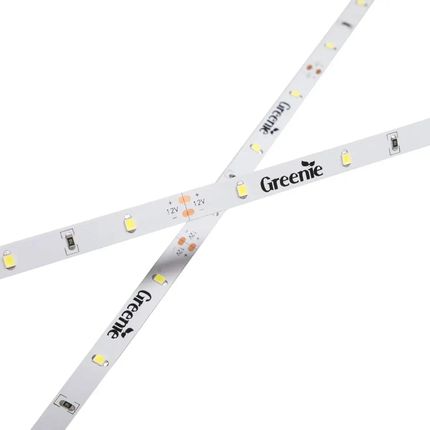 Taśma ledowa rolka TL202K Greenie LED 2,4W 5m niebieska