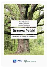 Zdjęcie Drzewa Polski - Wyszogród