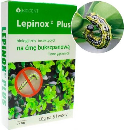 Biocont Duże Opakowanie Lepinox Plus Na Ćmę Bukszpanową I Gąsienice 30g - zdjęcie 4
