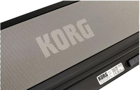 Keyboard KORG PaAS mk2 Soundbar 5 głośników - zdjęcie 4