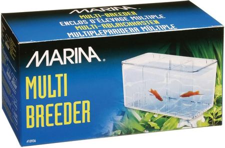 Marina Kotnik Multi Breeder - zdjęcie 2