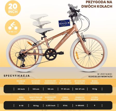 Sun Baby Rower Dziecięcy Dla Chłopców 20 Cali Z 6-Biegową Przerzutką Shimano Revoshift Verdant Rowan Cappuccino - zdjęcie 2