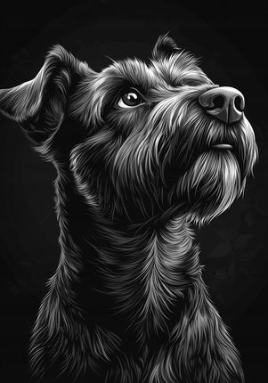 Plakat 70x100cm Portret Zwierząt do Salonu Pokoju | Terier | Czarno Białe