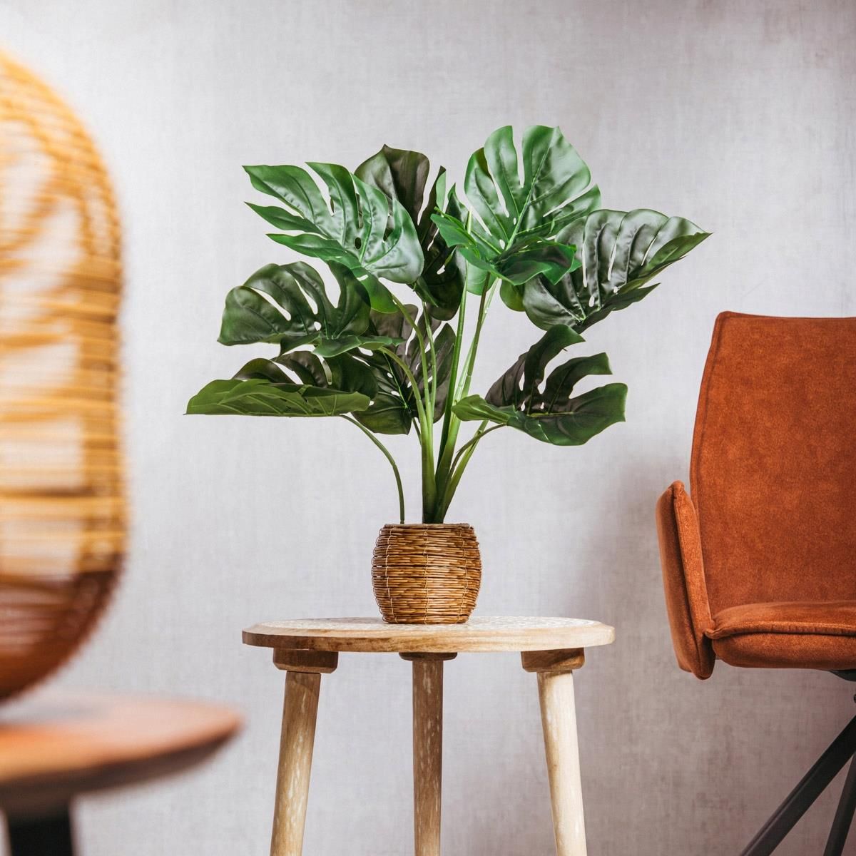 Rolina Sztuczna Monstera Homla 60 cm 1781011769 - ceny, opinie i recenzje  - www.taniomania.pl