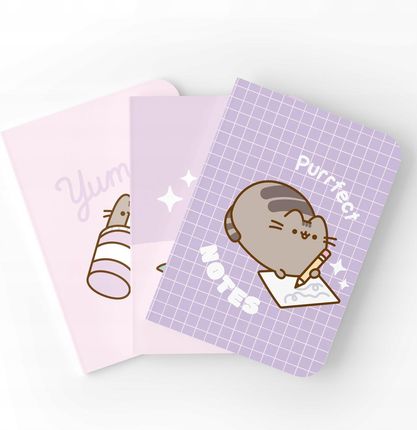 Grupoerik Zestaw 3 Zeszytów Zeszyt Pusheen A5 Miękka Okładka 64 Strony W Linie Kropki