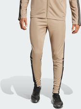 Zdjęcie adidas Spodnie Squadra 25 Training - Opatowiec