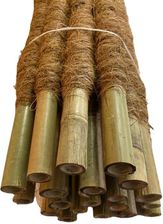 Zdjęcie Paliki Kokosowe 100cm X 25mm 10szt.  - Nałęczów