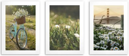 Plakaty na ścianę do salonu kwiaty wiosna 3x 30x40cm 1784447888