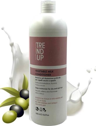 Odżywka nawilżjąca do suchych i odwodnionych włosów Trend UP Milk Conditioner 1000ml