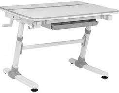 Zdjęcie Biurko Dla Dzieci Ergonomiczne Z Regulacją Wysokości Ergo Office Szare Max 100kg ER-417 2cz Ergo Office CEN-70223 - Dąbrowa Górnicza