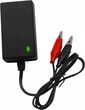 Blow Ładowarka Prostownik Do Akumulatorów Żelowych Automatyczny 12V 2A Dioda Led (70678413)