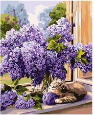 Zdjęcie Malowanie Po Numerach 40X50 Bez - Ostrów Lubelski