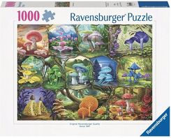 Zdjęcie Puzzle 1000 Piekne grzyby - Katowice
