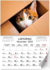 Zdjęcie Kalendarz Ścienny Koty Lux 2025 - Konin