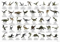 Zdjęcie Derform Podkład Oklejany Edukacyjny Dinozaury - Debrzno