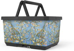 Zdjęcie Bagażnik - Dorosły Basky Van Gogh - Opole