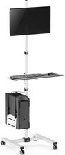 Maclean Stand Wózek Do Monitora Cpu Na Kółkach Mc-793 W Biały