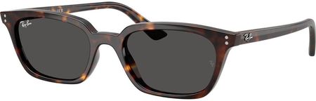 Okulary Ray-Ban® Zaya RB4456-135987