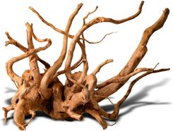 Zdjęcie Shizen Essence J Roots M Średnie Korzenie Japońskie Mizube I Ryuboku - Woźniki
