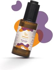 Zdjęcie Suplement Dla Psa I Kota Na Trawienie Deliguard - Niepołomice