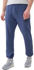Zdjęcie Męskie spodnie dresowe 4F TROM1139 32S XL - Suraż