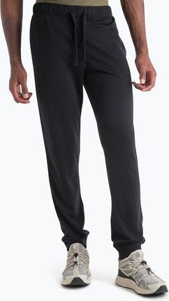 Spodnie męskie icebreaker Merino Shifter II black Wiosna 2025