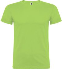 Zdjęcie Męska Koszulka Z Krótkim Rękawem Beagle - Kościan