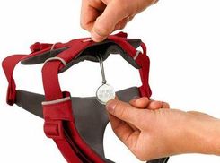 Zdjęcie Ruffwear Szelki Dla Psa Front Range Red Canyon Xs BG30503625S1 - Kleczew