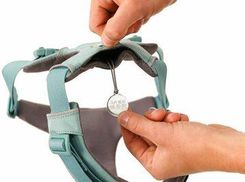 Zdjęcie Ruffwear Szelki Dla Psa Front Range River Rock Green Xxs BG30503355S2 - Brzeszcze