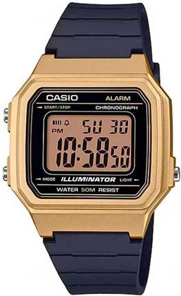 Casio W-217HM-9A