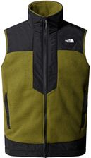 Bezrękawnik polarowy męski The North Face FLEESKI Y2K zielony NF0A879KPIB