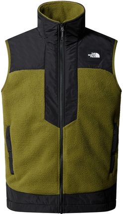 Bezrękawnik polarowy męski The North Face FLEESKI Y2K zielony NF0A879KPIB