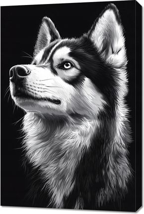 Obraz 60x90cm Portret Zwierząt do Salonu Pokoju | Husky | Czarno Białe