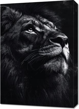 Obraz 50x70cm Portret Zwierząt do Salonu Pokoju | Lew | Czarno Białe