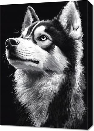 Obraz 50x70cm Portret Zwierząt do Salonu Pokoju | Husky | Czarno Białe