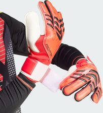 Zdjęcie adidas Rękawice Predator Match Goalkeeper - Trzebinia