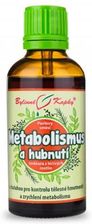 Bylinné Kapky Metabolizm I Odchudzanie Nalewka 50ml