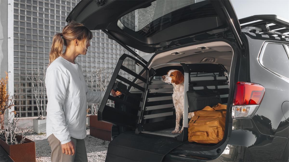 Thule Allax L Transporter Dla Psa Do Samochodu - Ceny i opinie - Ceneo.pl