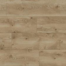 Zdjęcie Classen Dąb Lincoln Evolution 64844 - Przasnysz