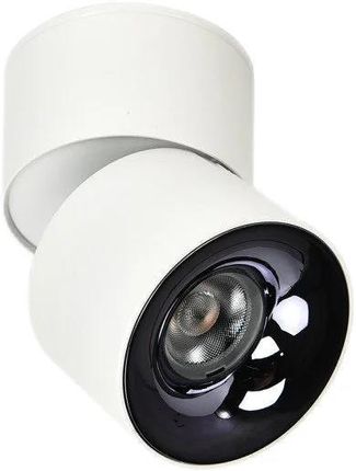 Light Prestige Ruchoma Oprawa Natynkowa Brema Biała Led Cct Lp-2626/1Rm Wh Movable (Lp26261Rmwhmovable)