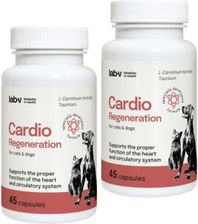Lab-V Cardio Regeneration Wsparcie Prawidłowego Funkcjonowania Pracy Serca I Układu Krążenia Dla Psów I Kotów 2X45kaps.